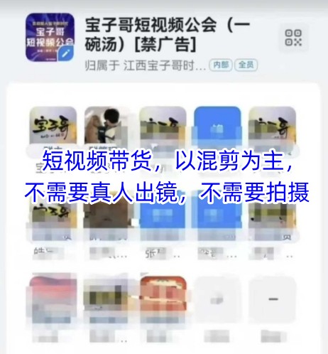 宝子哥头部团队短视频带货,以混剪为主,不需要真人出镜,不需要拍摄【更新11月】-小目标云网创
