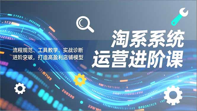 淘系系统运营进阶课2.0，流程规范、工具教学、实战诊断，进阶突破，打造高盈利店铺模型-小目标云网创