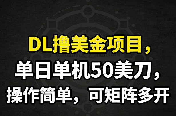 DL撸美金项目，单日单机50美刀，操作简单，可矩阵多开-小目标云网创