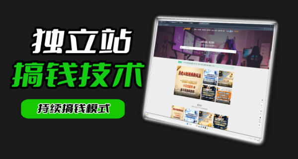 干货来袭！麦子甜带你吃透独立站｜从搭建到引流一站式教学《独立站》第一期-追逐云网创