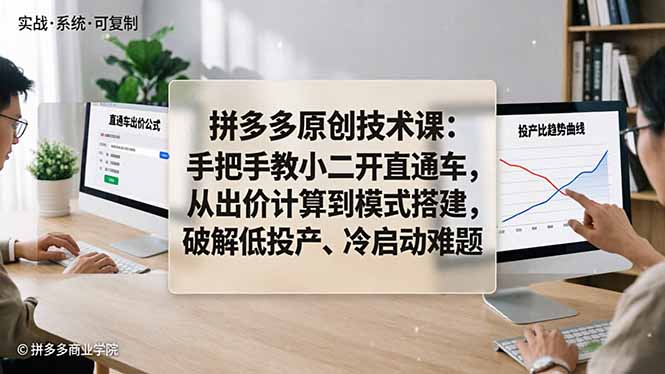 拼多多原创技术课：手把手教小二开直通车，从出价计算到模式搭建，破解低投产、冷启动难题-灵感工坊云网创