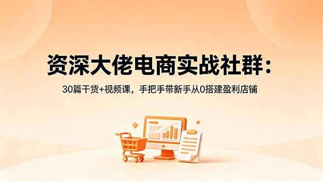 资深大佬电商实战社群：30篇干货+视频课，手把手带新手从0搭建盈利店铺-启微空间