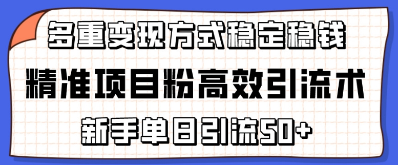 精准项目粉高效引流术，新手单日引流50+，多重变现方式稳定赚钱-优优云网创