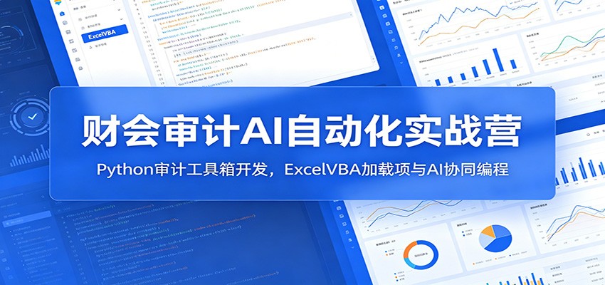 财会审计AI自动化实战营：Python审计工具箱开发，ExcelVBA加载项与AI协同编程-一个小目标云网创