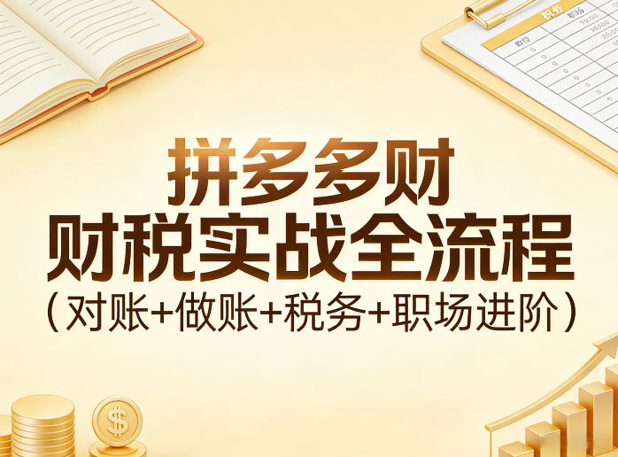 拼多多财税实战全流程(对账+做账+税务+职场进阶)-小目标云网创