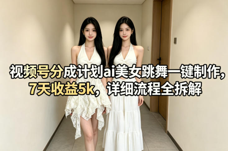 视频号分成计划ai美女跳舞一键制作，7天收益5k，详细流程全拆解-小目标云网创