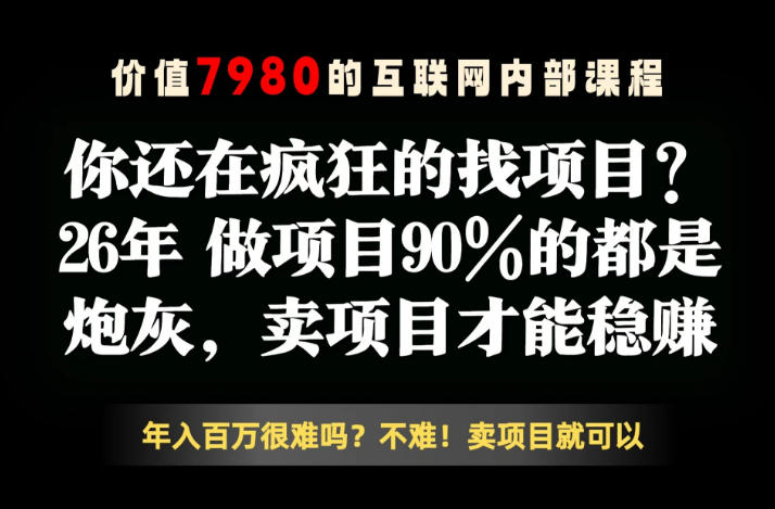 26年请不要疯狂的找项目了，卖项目远比你想象的暴利，你也可以月入10W+【揭秘】-一个小目标资源站