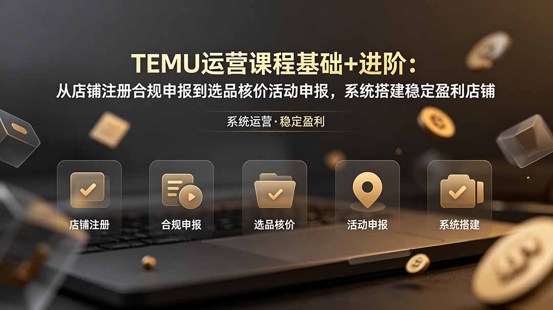 TEMU运营课程(基础+进阶-启微空间