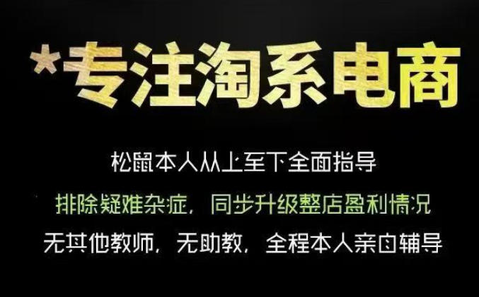 松鼠会电商VIP课程,从基础布局到高阶优化,助你掌握淘宝运营逻辑,提升店铺流量与转化-一个小目标云网创