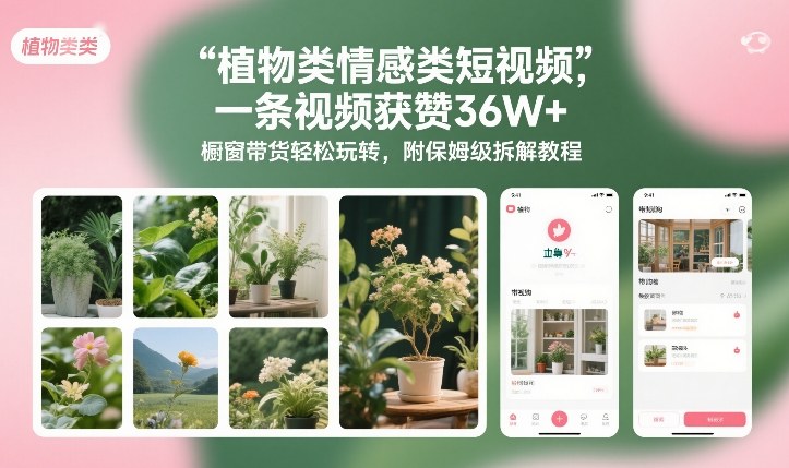 植物类情感类短视频，一条视频获赞36W+，橱窗带货轻松玩转，附保姆级拆解教程-小目标云网创