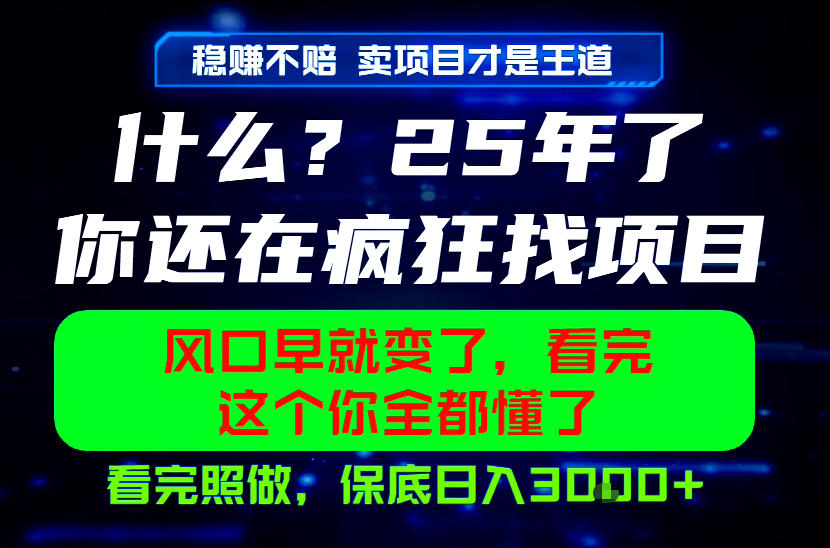 26年,请不要疯狂的找项目做了!卖项目才是真的稳賺不赔,看完照做,保底日入1k+【揭秘】-极速搞钱云网创