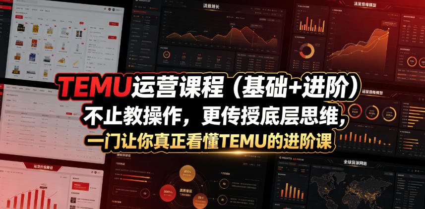 TEMU运营课程(基础+进阶)，不止教操作，更传授底层思维，一门让你真正看懂TEMU的进阶课-灵感工坊云网创