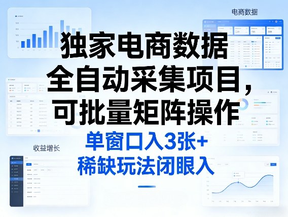 独家电商数据全自动采集项目，可批量矩阵操作，单窗口日入3张+，稀缺玩法闭眼入【揭秘】-小目标云网创