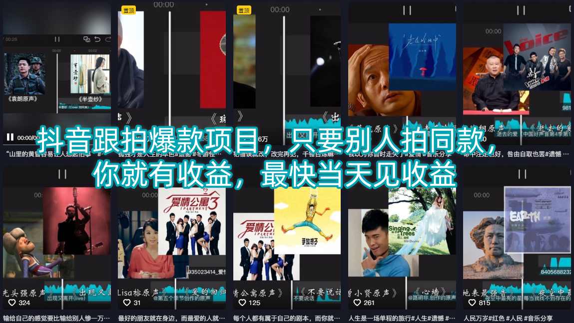 抖音跟拍爆款项目，只要别人拍同款，你就有收益，最快当天见收益-小目标云网创