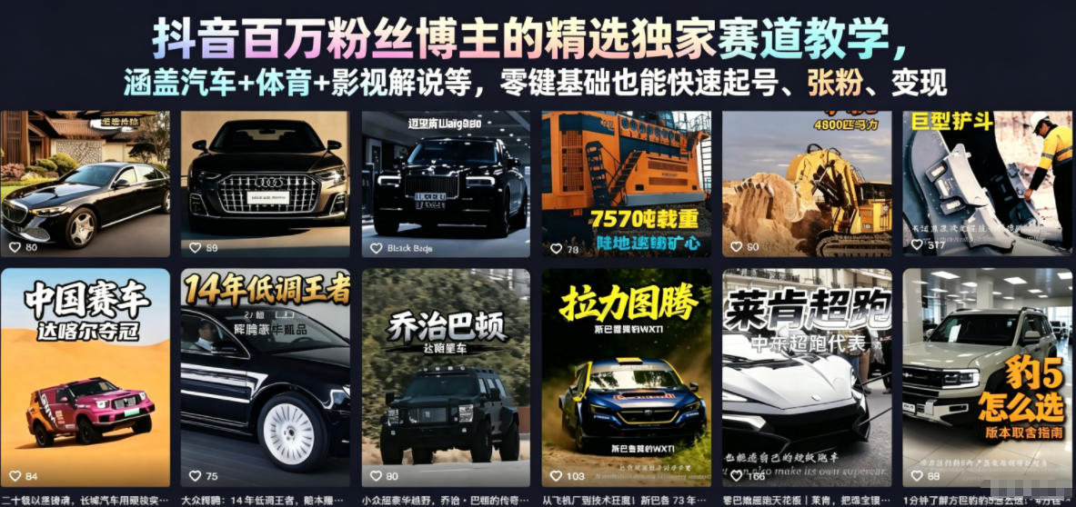 抖音百万粉丝博主的精选独家赛道教学,涵盖汽车+体育+影视解说等,零基础也能快速起号、涨粉、变现(更新0701)-极速搞钱指南
