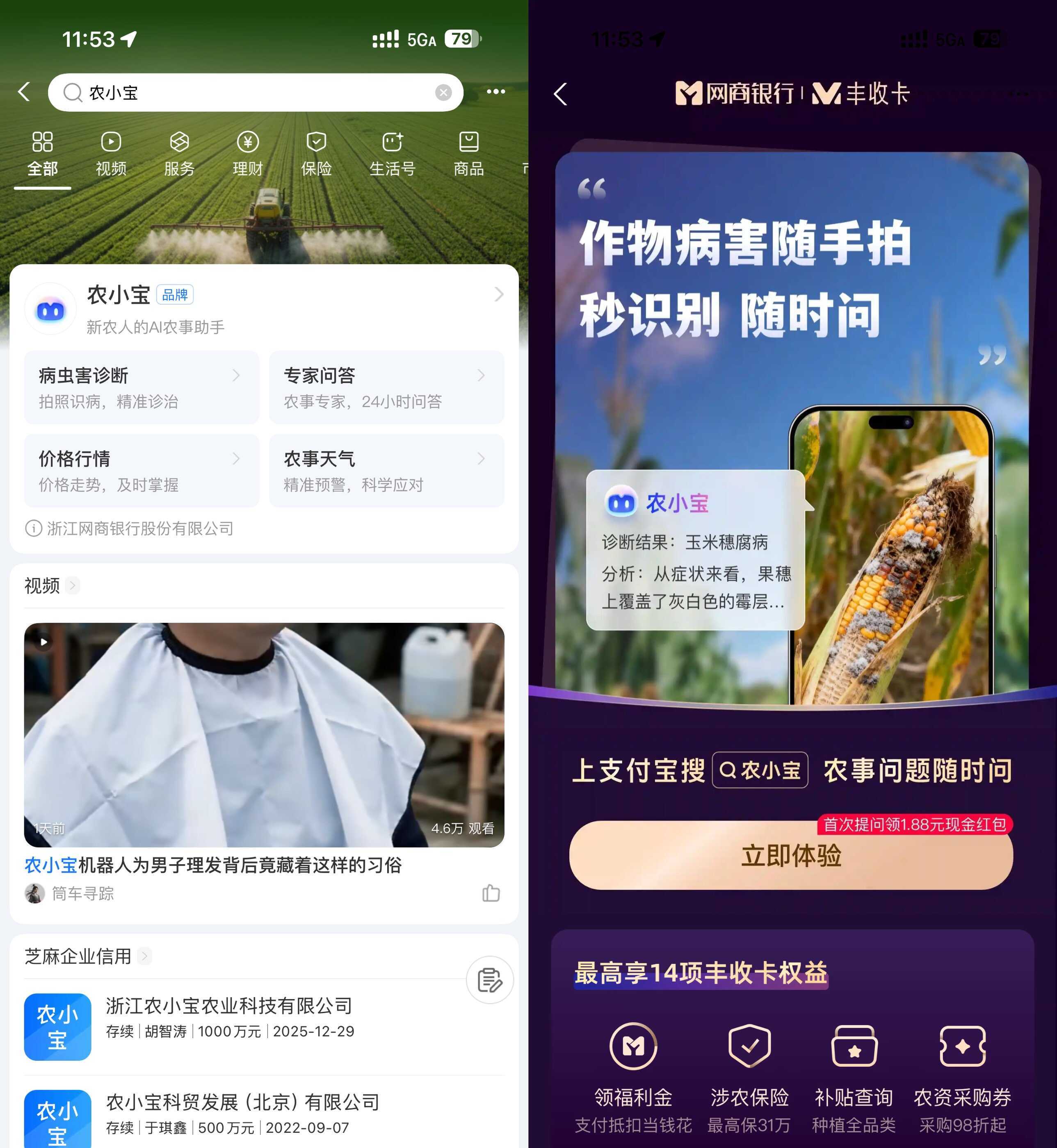 支付宝农小宝首次提问得1.88亓-小目标云网创