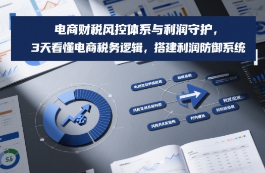 电商财税风控体系与利润守护，3天看懂电商税务逻辑，搭建利润防御系统-小目标云网创