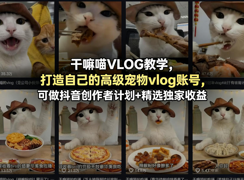 干嘛喵VLOG教学，打造自己的高级宠物vlog账号，可做抖音创作者计划+精选独家收益-小目标云网创
