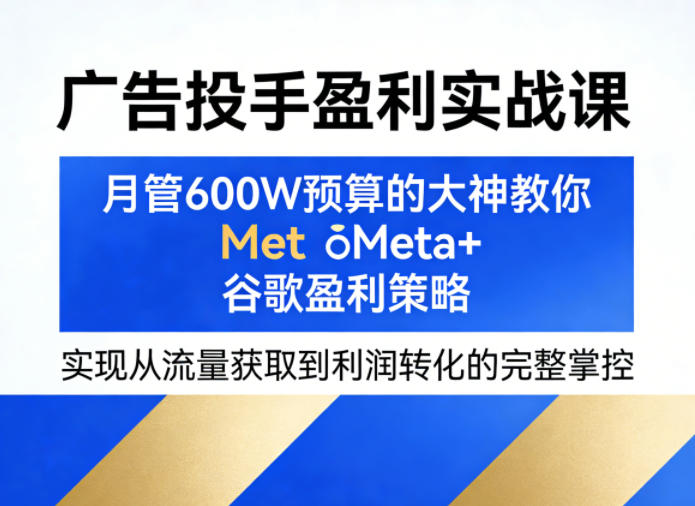 广告投手盈利实战课，月管600W预算的大神教你Meta+谷歌盈利策略，实现从流量获取到利润转化的完整掌控-小目标云网创