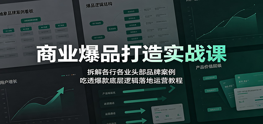 商业爆品打造实战课：拆解各行各业头部品牌案例，吃透爆款底层逻辑落地运营教程-小目标云网创