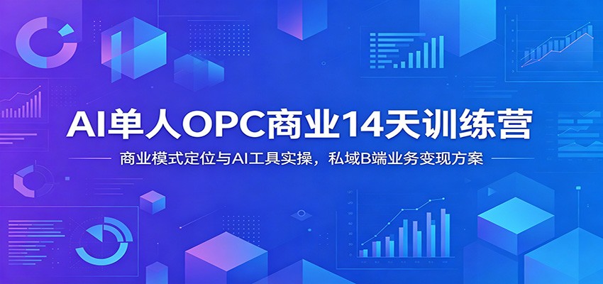 AI单人OPC商业14天训练营:商业模式定位与AI工具实操,私域B端业务变现方案-灵感工坊云网创