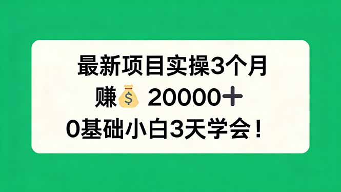 最新项目实操3个月，赚钱20000+，0基础小白3天学会！-小目标云网创
