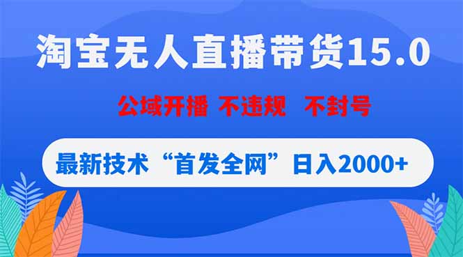 淘宝无人直播带货15.0，不封号，不违规，公域玩法，首发全网日入2000+-启微空间