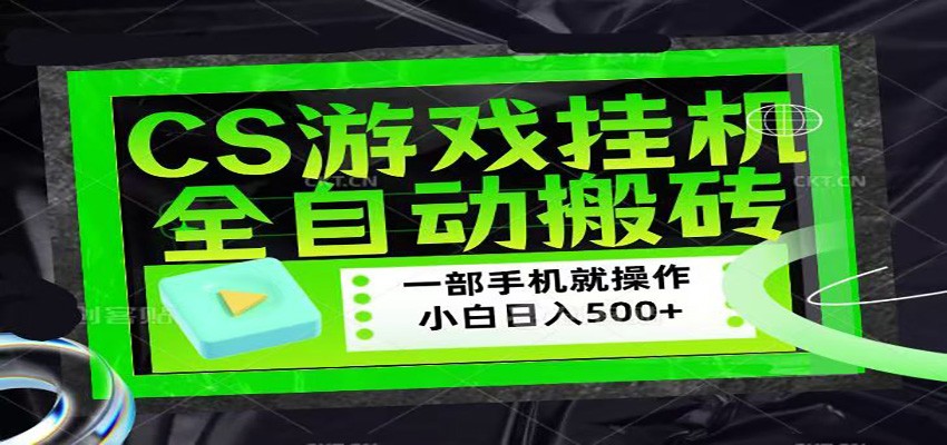 CSGO游戏挂机捡漏搬砖，超稳定的项目，带领1000+小白实现日入500+-小目标云网创